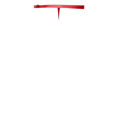 Magic Silk Essentials Lace Garter Belt Red - Romantic Blessings
