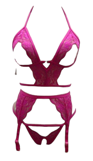 Escante Boxed 3 PC Lace Open Cut Bra with Crotchless Thong & Garters Hot Pink One Size