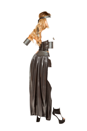 Roma Costume 5 PC Dragon Princess Wetlook Top & Skirt Black/Silver