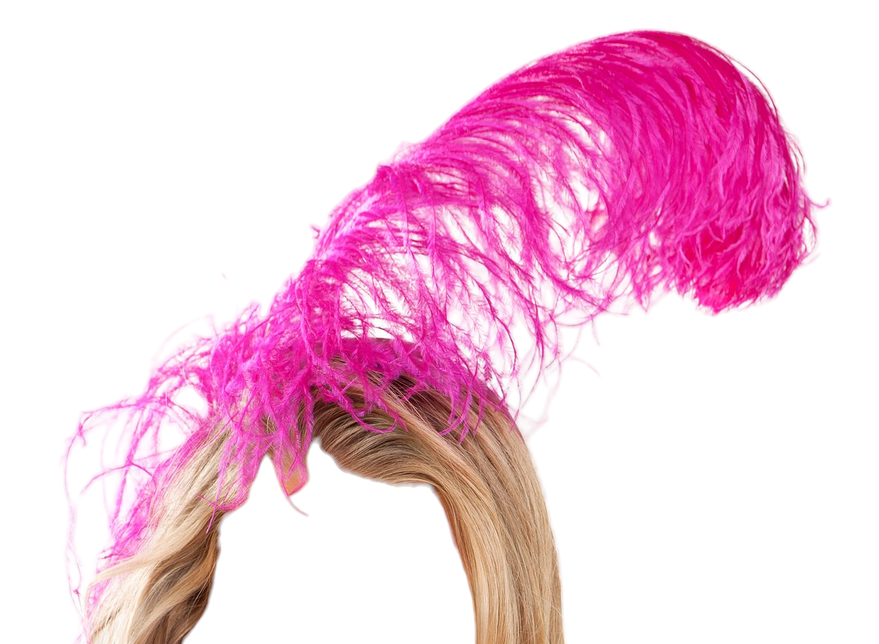 Roma Costume Feather Headband Pink One Size