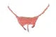 Escante Mix & Match Lace Open Crotch G-String with Pearl Crotch & Slider Sizers Coral