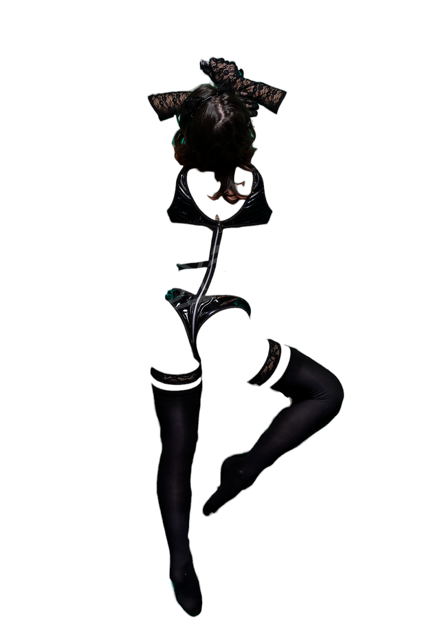 BodyZone Role Play Kinky Kitty Cat 6 pc Wetlook BodySuit & Garters Costume Set Black
