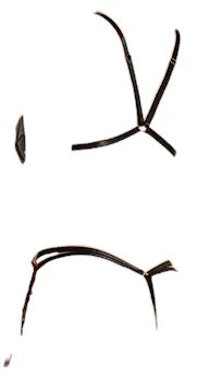 Oh La La Cheri Whipped Open Gusset Wetlook Vinyl Crotchless Teddy with Barbell Black