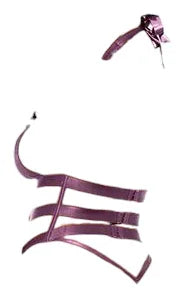 Oh La La Cheri Camille Lace Halter Teddy with Lace Up Details Purple