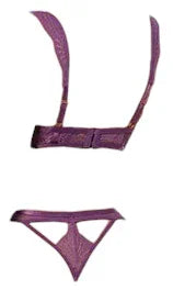 Oh La La Cheri Evrice Lace and Mesh Underwire Bra with Thong Purple