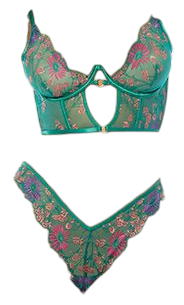 Oh La La Cheri Evelyn Unlined Underwire Embroidered Bustier with Panty Green