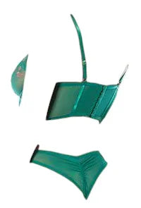 Oh La La Cheri Evelyn Unlined Underwire Embroidered Bustier with Panty Green