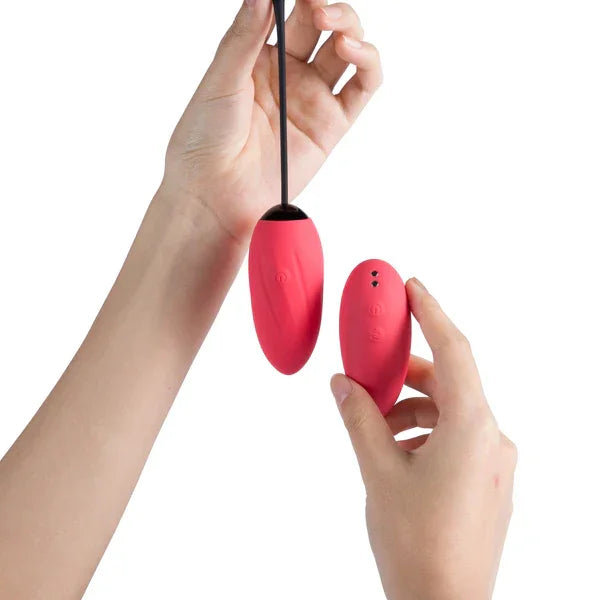 The Beetles Love Egg Vibrator with Vibrating Remote Control