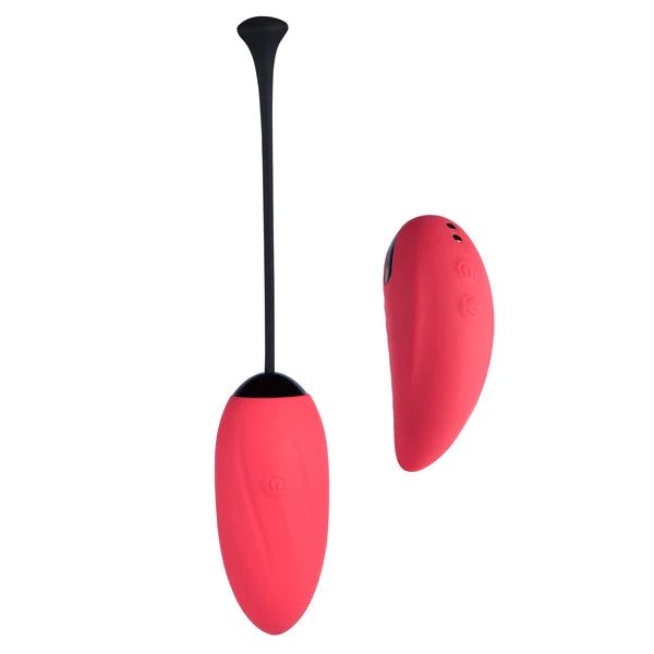 The Beetles Love Egg Vibrator with Vibrating Remote Control