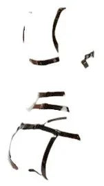 Male Basics Dngeon Leather Women's Body Harness Party Black