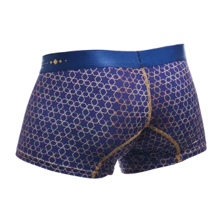 Male Basics Hipster Men's Trunk Harmony Blue