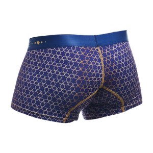 Male Basics Hipster Men's Trunk Harmony Blue