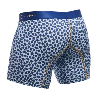 Male Basics Hipster Mid Thigh Boxer Brief Stellar Blue