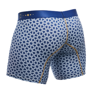 Male Basics Hipster Mid Thigh Boxer Brief Stellar Blue