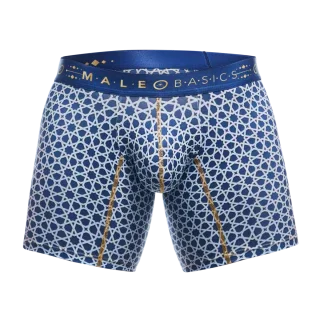 Male Basics Hipster Mid Thigh Boxer Brief Stellar Blue
