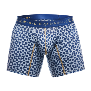 Male Basics Hipster Mid Thigh Boxer Brief Stellar Blue