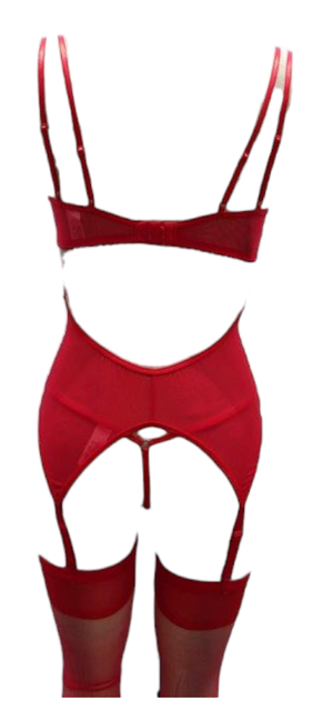 Escante Lace & Mesh Bustier with Underwire Cups & G-String Red