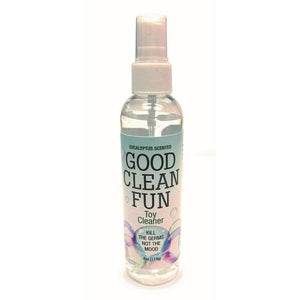 Good Clean Fun Spray Toy Cleaner Eucalyptus - Romantic Blessings