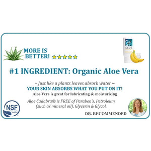 Aloe Cadabra Organic 2-in-1 Personal Lubricant & Vaginal Moisturizer Banana Cream 2.5 oz - Romantic Blessings