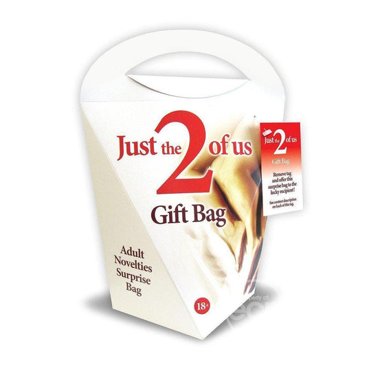 Just The 2 Of Us Gift Bag Adult Novelty Surprise Bag - Romantic Blessings