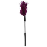Sex & Mischief 7 inch Feather Tickler for Couples Sensual and Adventurous Play - Romantic Blessings