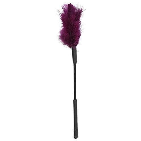 Sex & Mischief 7 inch Feather Tickler for Couples Sensual and Adventurous Play - Romantic Blessings