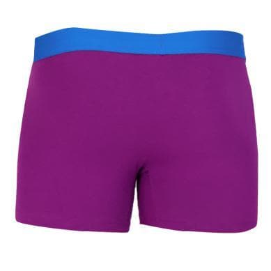Wood Men's Super Soft Modal Blend 3 in Inseam Boxer Brief with Fly Grape - Romantic Blessings
